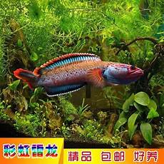 新开靓装超变传奇网站, 新开中变靓装是一款支持自由交!新开靓