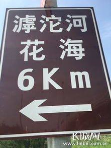 滹沱河畔百花盛開，石家莊市民賞花正當時
